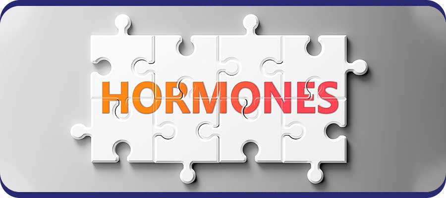 Hormone Doctors Near Me in West Hempstead, NY Hormone Doctors Near Me in West Hempstead, NY